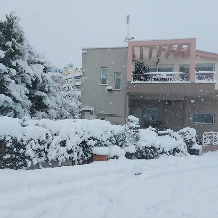 Violet Studio Με Πισίνα Volos Exteriör bild