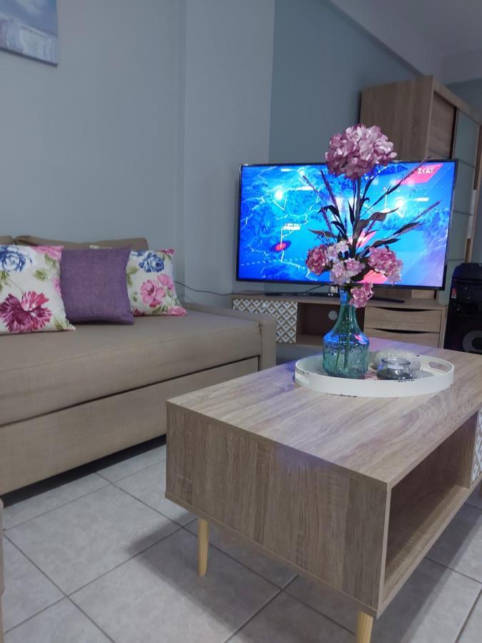 Violet Studio Με Πισίνα Volos Exteriör bild
